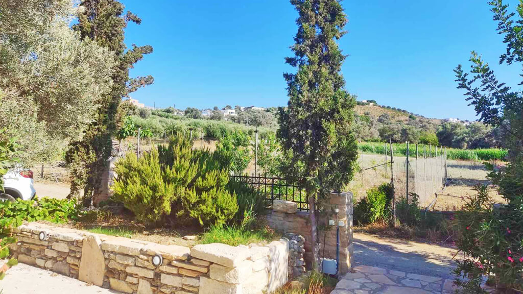 Villa Elia garden 2
