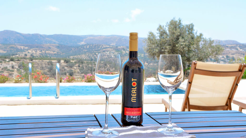 Villa PETRA wine by the pool