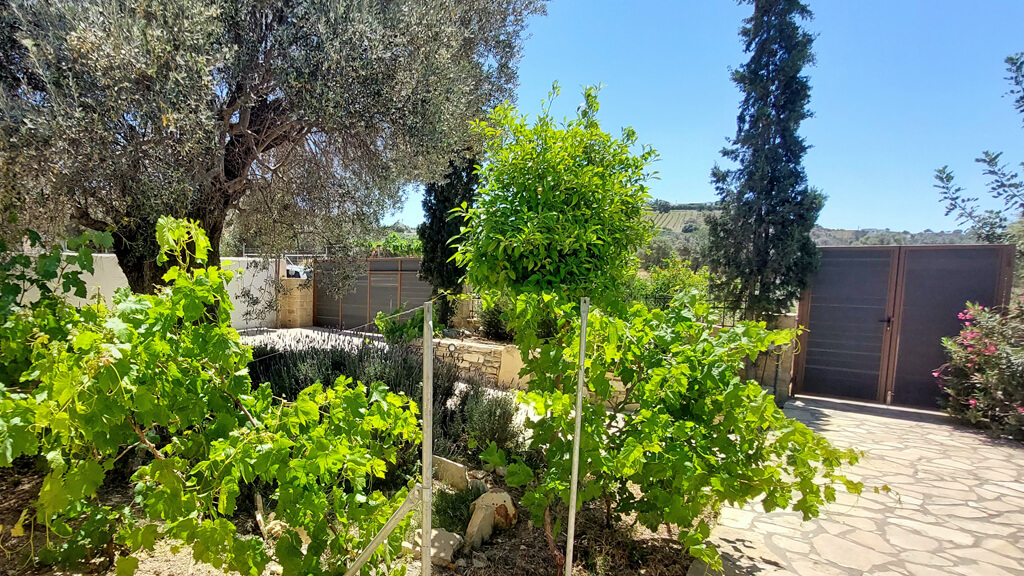 villa elia entrance wineyard